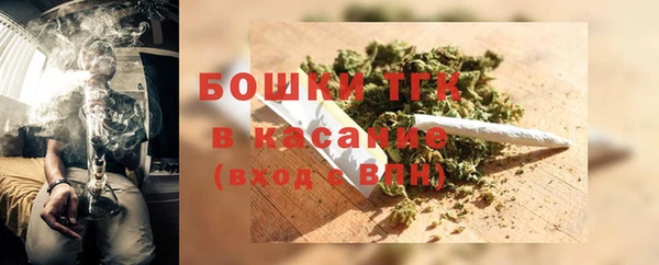 дмт Алексин