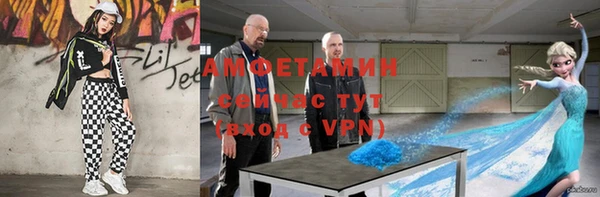дмт Алексин